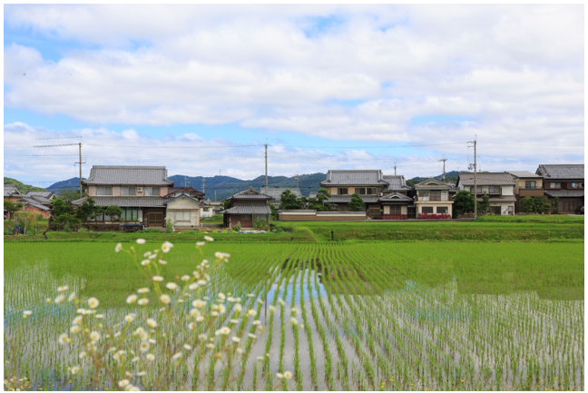 鳥本