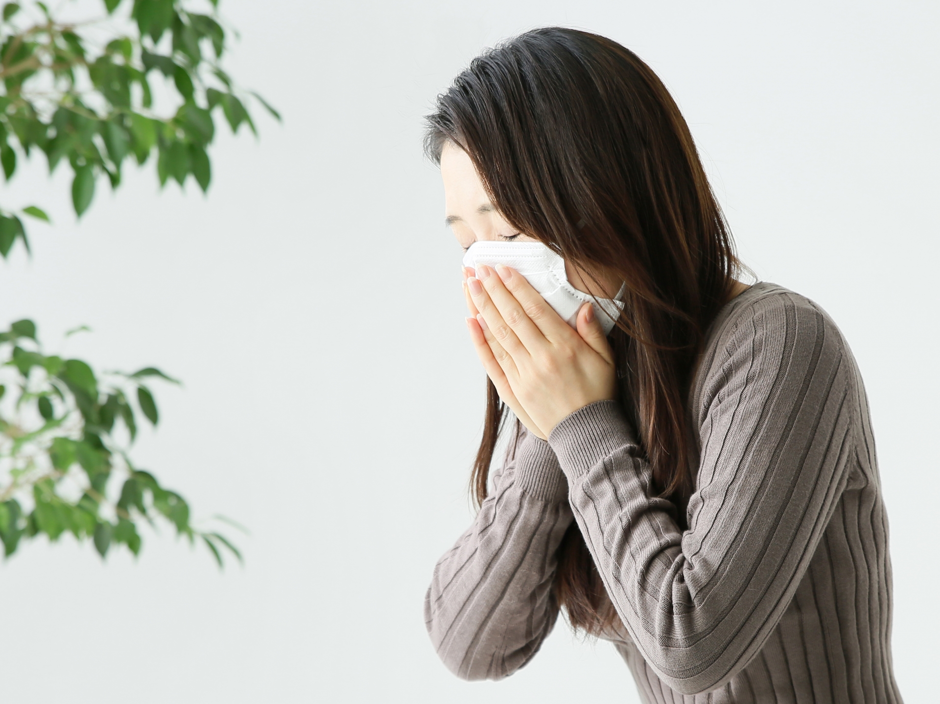 石原健児